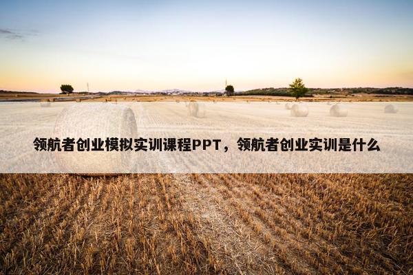 领航者创业模拟实训课程PPT，领航者创业实训是什么