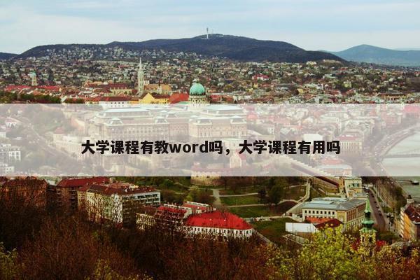 大学课程有教word吗，大学课程有用吗