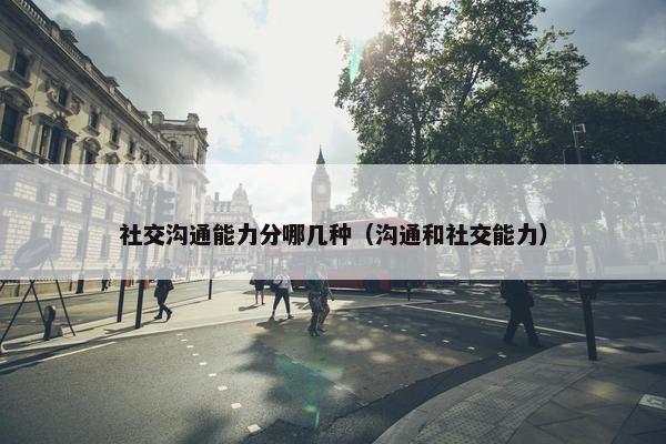 社交沟通能力分哪几种（沟通和社交能力）