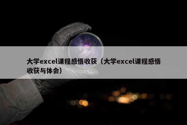 大学excel课程感悟收获（大学excel课程感悟收获与体会）
