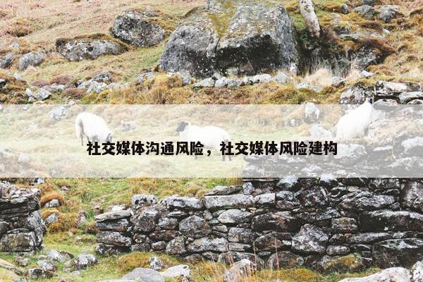 社交媒体沟通风险，社交媒体风险建构
