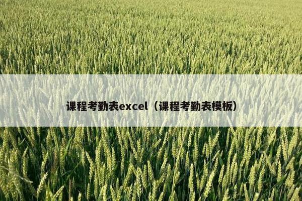课程考勤表excel（课程考勤表模板）