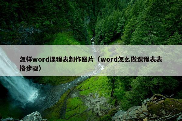 怎样word课程表制作图片（word怎么做课程表表格步骤）