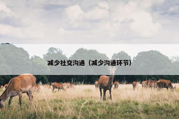 减少社交沟通（减少沟通环节）