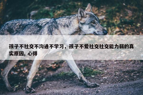 孩子不社交不沟通不学习，孩子不爱社交社交能力弱的真实原因, 心得