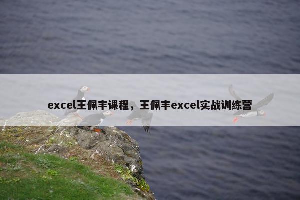 excel王佩丰课程，王佩丰excel实战训练营