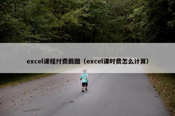 excel课程付费截图（excel课时费怎么计算）