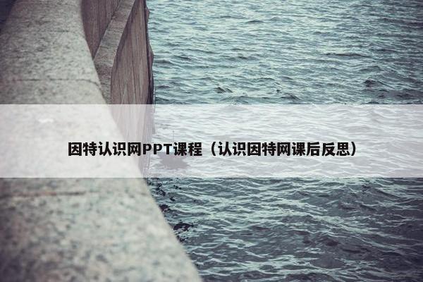 因特认识网PPT课程（认识因特网课后反思）