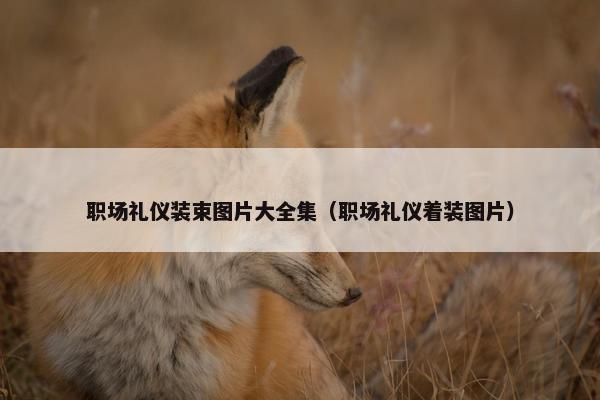 职场礼仪装束图片大全集（职场礼仪着装图片）