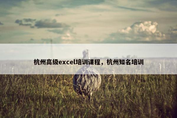 杭州高级excel培训课程，杭州知名培训