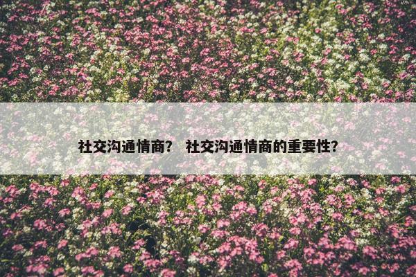 社交沟通情商？ 社交沟通情商的重要性？