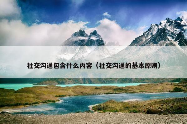 社交沟通包含什么内容（社交沟通的基本原则）