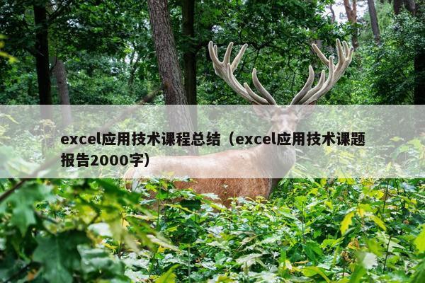 excel应用技术课程总结（excel应用技术课题报告2000字）