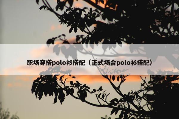 职场穿搭polo衫搭配（正式场合polo衫搭配）