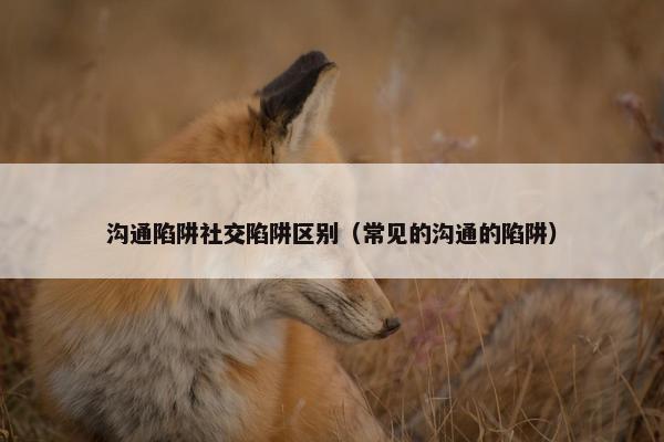 沟通陷阱社交陷阱区别（常见的沟通的陷阱）