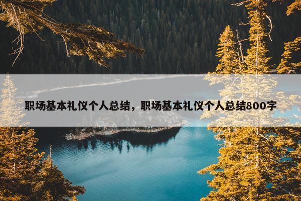 职场基本礼仪个人总结，职场基本礼仪个人总结800字