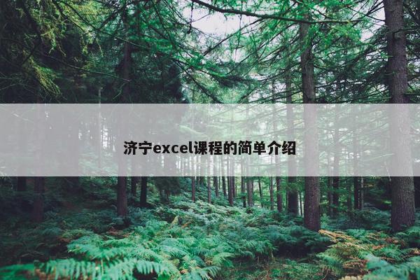 济宁excel课程的简单介绍