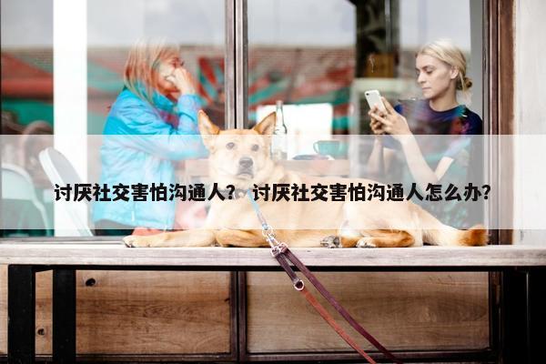 讨厌社交害怕沟通人？ 讨厌社交害怕沟通人怎么办？