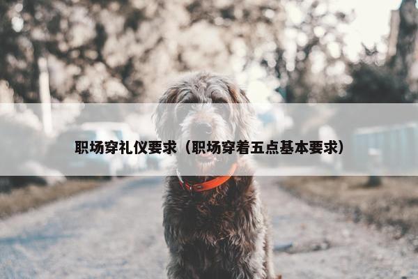 职场穿礼仪要求（职场穿着五点基本要求）