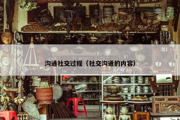 沟通社交过程（社交沟通的内容）