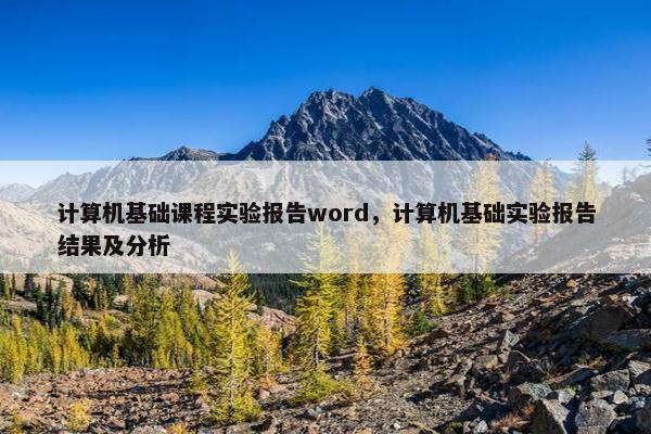 计算机基础课程实验报告word，计算机基础实验报告结果及分析