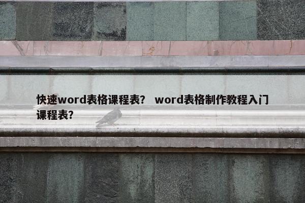 快速word表格课程表？ word表格制作教程入门课程表？