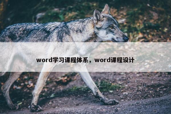 word学习课程体系，word课程设计
