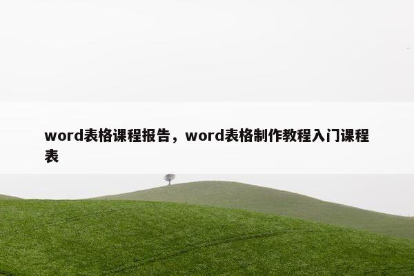 word表格课程报告，word表格制作教程入门课程表