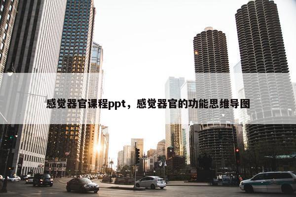 感觉器官课程ppt，感觉器官的功能思维导图