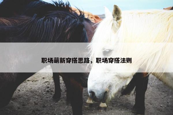 职场萌新穿搭思路，职场穿搭法则