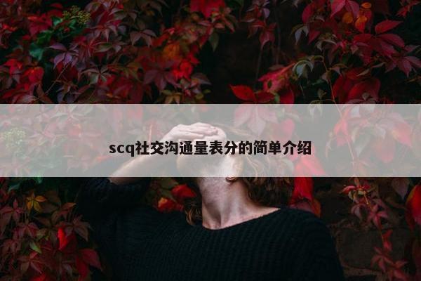 scq社交沟通量表分的简单介绍