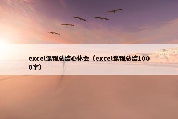 excel课程总结心体会（excel课程总结1000字）