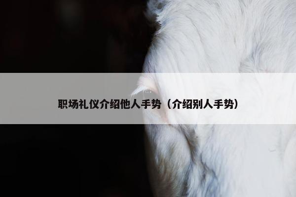职场礼仪介绍他人手势（介绍别人手势）