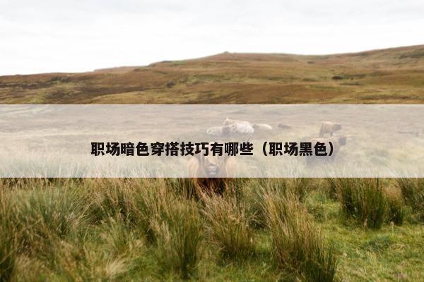 职场暗色穿搭技巧有哪些（职场黑色）
