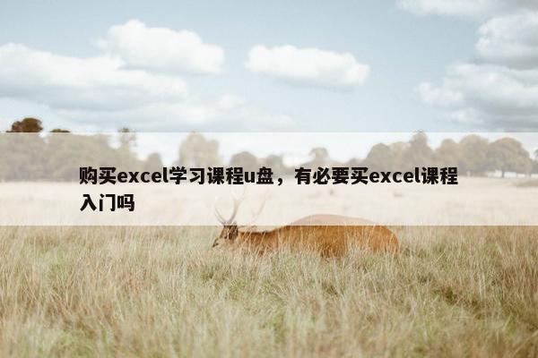购买excel学习课程u盘，有必要买excel课程入门吗