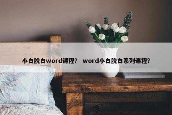 小白脱白word课程？ word小白脱白系列课程？