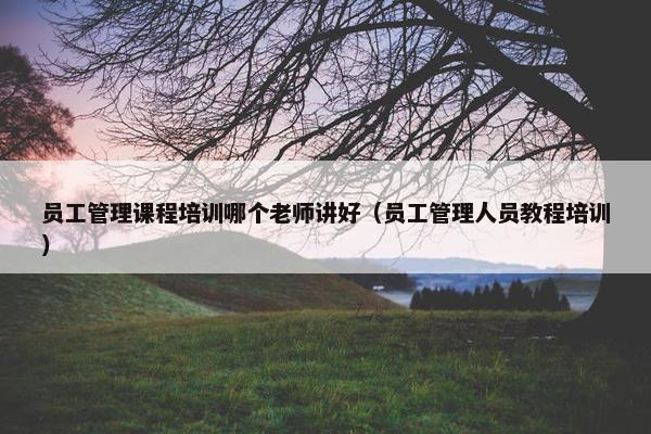 员工管理课程培训哪个老师讲好（员工管理人员教程培训）