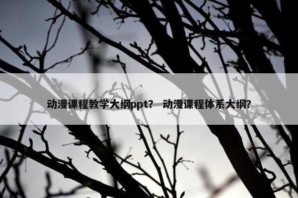 动漫课程教学大纲ppt？ 动漫课程体系大纲？