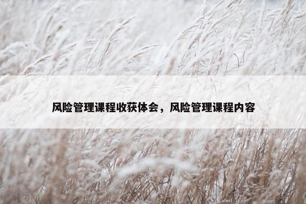 风险管理课程收获体会，风险管理课程内容