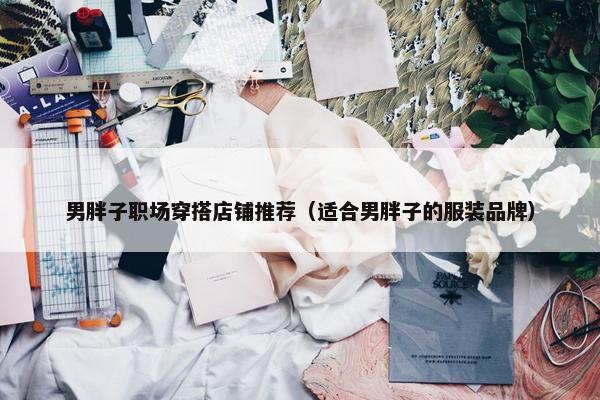 男胖子职场穿搭店铺推荐（适合男胖子的服装品牌）