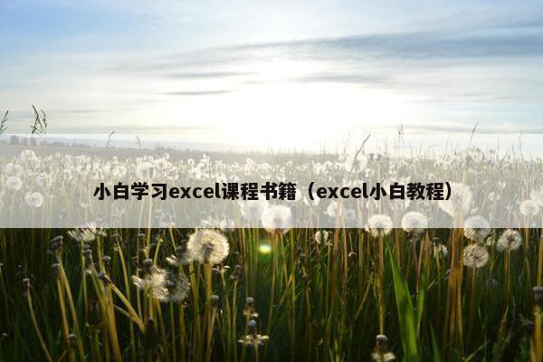 小白学习excel课程书籍（excel小白教程）