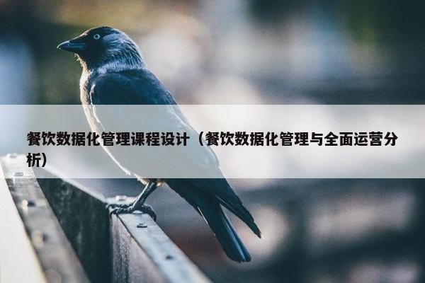 餐饮数据化管理课程设计（餐饮数据化管理与全面运营分析）