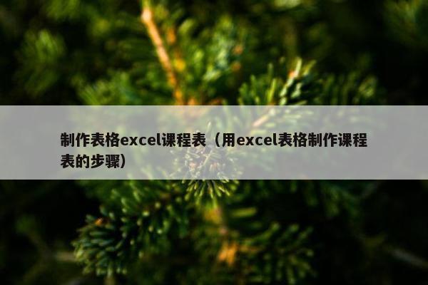 制作表格excel课程表（用excel表格制作课程表的步骤）
