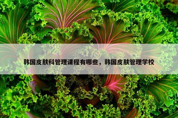 韩国皮肤科管理课程有哪些，韩国皮肤管理学校