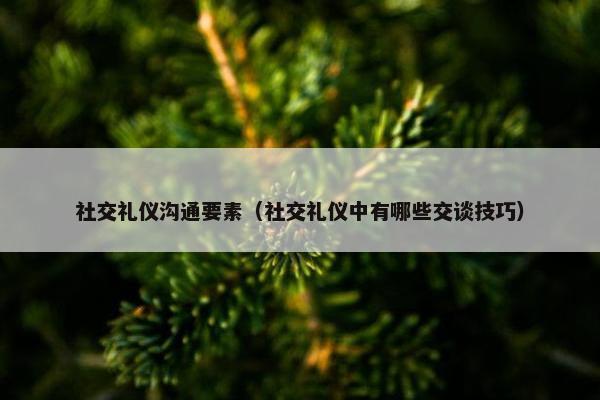 社交礼仪沟通要素（社交礼仪中有哪些交谈技巧）
