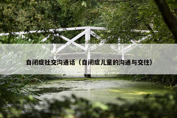 自闭症社交沟通话（自闭症儿童的沟通与交往）