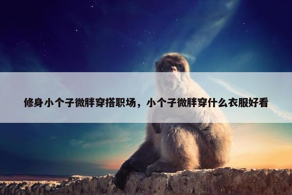 修身小个子微胖穿搭职场，小个子微胖穿什么衣服好看