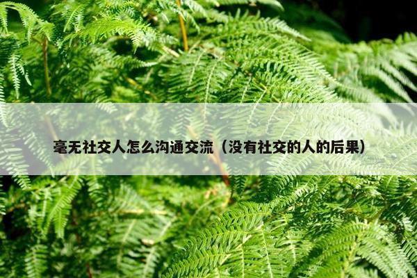 毫无社交人怎么沟通交流（没有社交的人的后果）