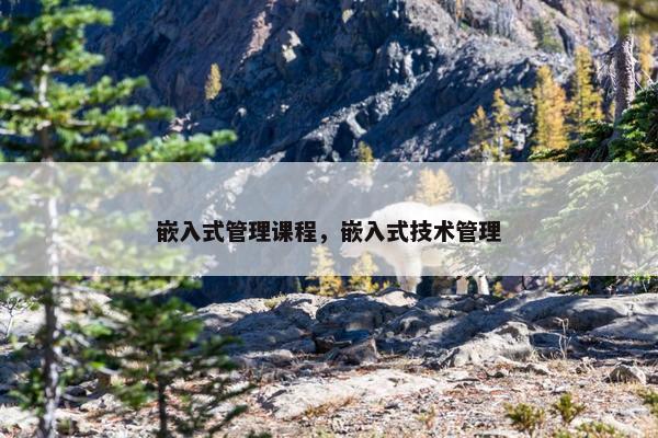 嵌入式管理课程，嵌入式技术管理