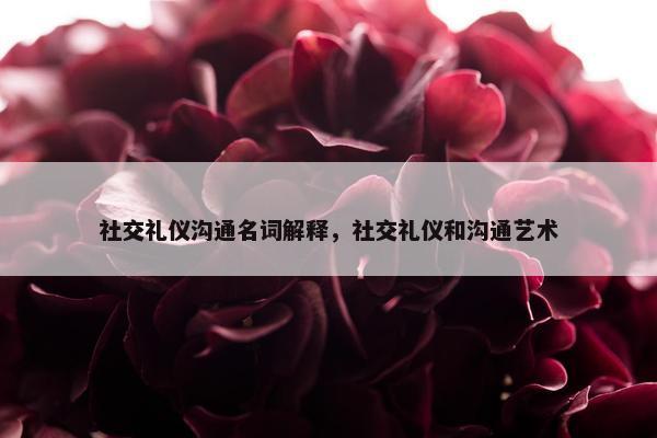 社交礼仪沟通名词解释，社交礼仪和沟通艺术